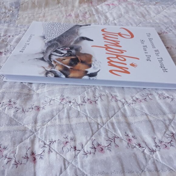 Pumpkin The Raccoon Book - Picture 4 of 9